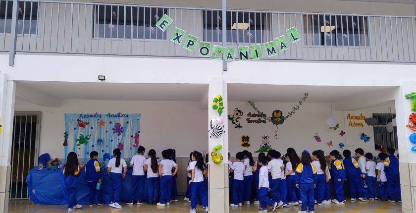 Realizamos una nueva versión de la expo-animales reciclados